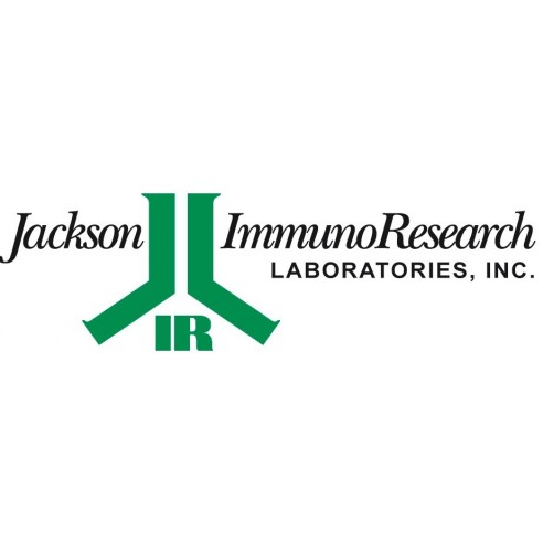 ChromPure Human IgM (myeloma), whole molecule   2 mg