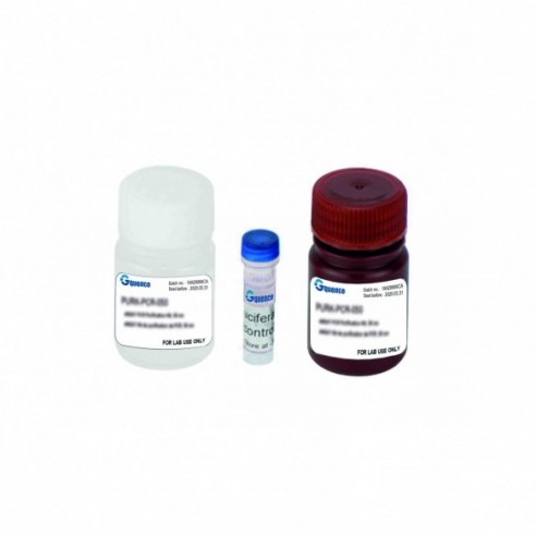 Kit de ensayo con gen reportero luciferase, 100 rxn